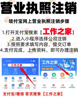 税务清缴注销个体户攻略_注销个体户执照流程_个体户注销