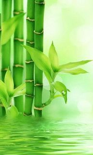 公司注销财税常见问题_账面存货无实物 增值税企业所得税 往来账款提前清理