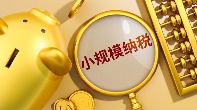 小规模纳税人全盘账务处理流程_小规模纳税人开票报税结账步骤_零基础会计全盘做账流程 一步步实操教学