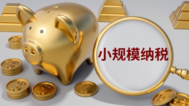 小规模纳税人全盘账务处理流程_小规模纳税人开票报税结账步骤_零基础会计全盘做账流程 一步步实操教学