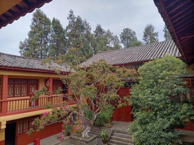 嵩明赏花踏青攻略_嵩明春日旅游路线推荐_嵩明商标注册