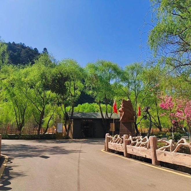嵩明春日旅游路线推荐_嵩明赏花踏青攻略_嵩明商标注册