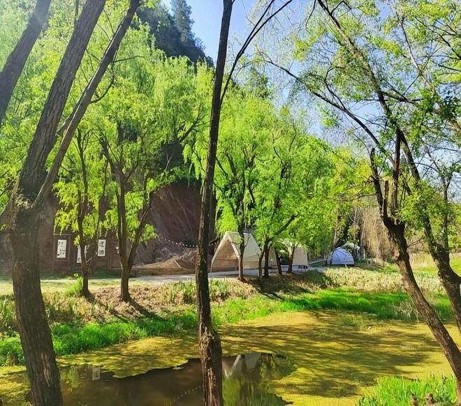 嵩明春日旅游路线推荐_嵩明赏花踏青攻略_嵩明商标注册