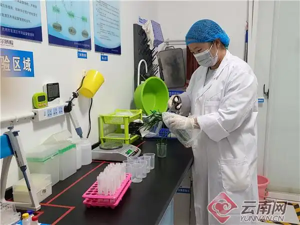 官渡区食品经营许可证代办_昆明市官渡区市场监督管理局 食品药品安全监管 餐饮安心码