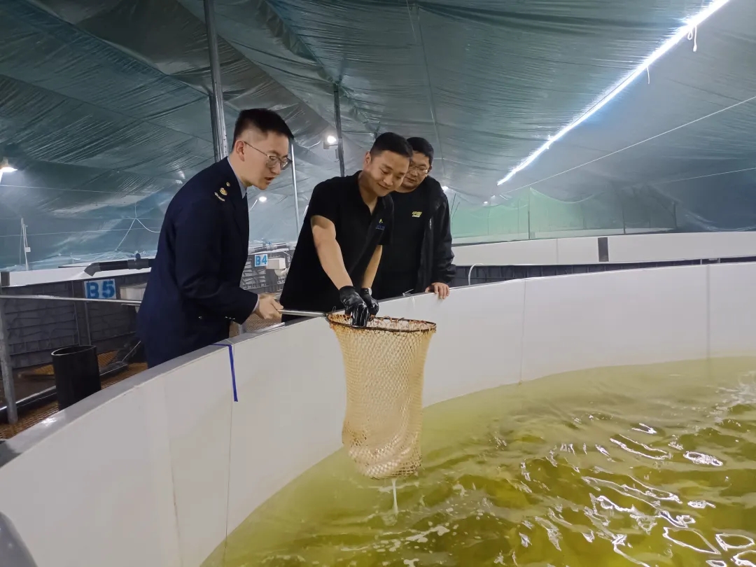 企业税务合规管理_财税常识避坑指南 远离低级涉税错误_税务合规监督机制
